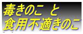 ł̂@
HpsK̂